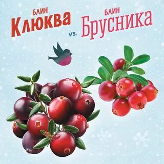 Клюква и брусника