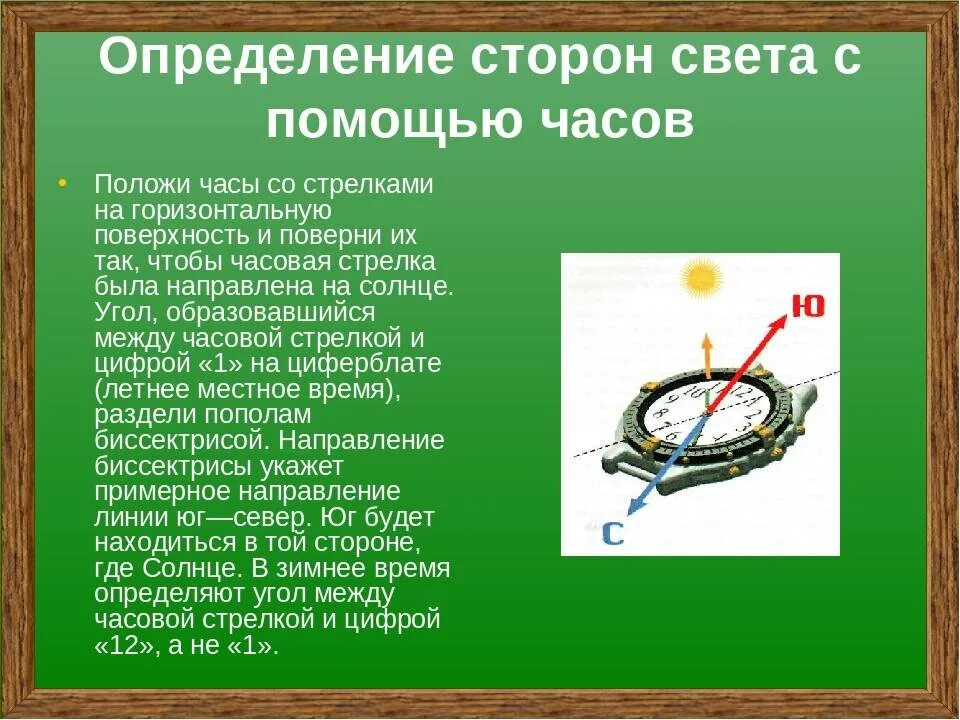 Как отличить без. Определение сторон света. Как определить стороны света. Кап определять стороны света. Как определить стороны света без компаса.