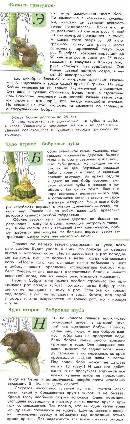зеленые страницы король грызунов. книга зелёные страницы 3 класс окружающий мир о животных. книга зеленые страницы о бобрах. книга зеленые страницы сообщение о бобрах. зелёные страницы интересные факты о бобре.