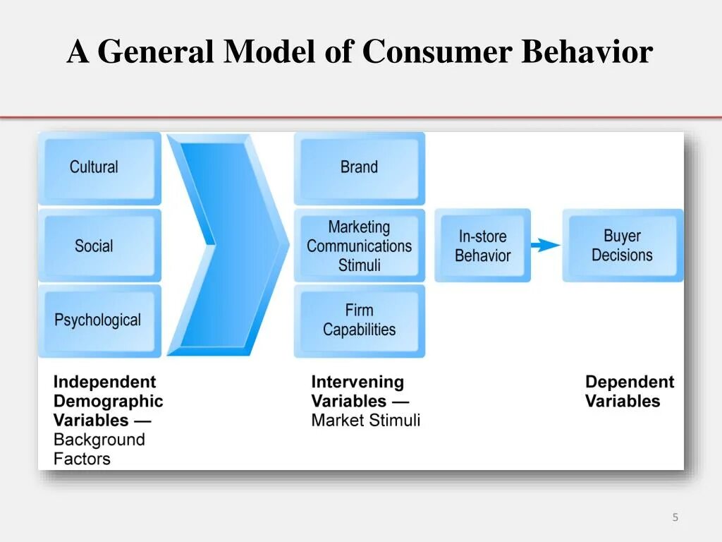 Модель Дженерал. Model of Consumer behaviour. Модель soc. Consumer Behavior in marketing.