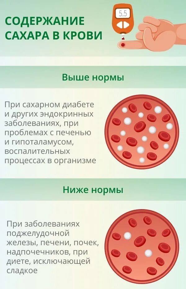 Кровь на сахар как называется. Сдать кровь на глюкозу. Как подготовиться к сдаче крови на сахар.