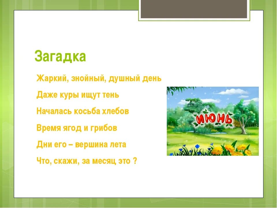 Загадки о лете. Загадки на тему лета. Загадки на тему лето. 2 Загадки про лето. Загадки террас