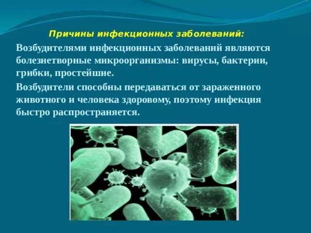 Заболевания вызванные различными бактериями. Возбудители инфекционных заболеваний. Бактерии возбудители инфекционных заболеваний. Бактерии являются возбудителями. Причины инфекционных заболеваний.