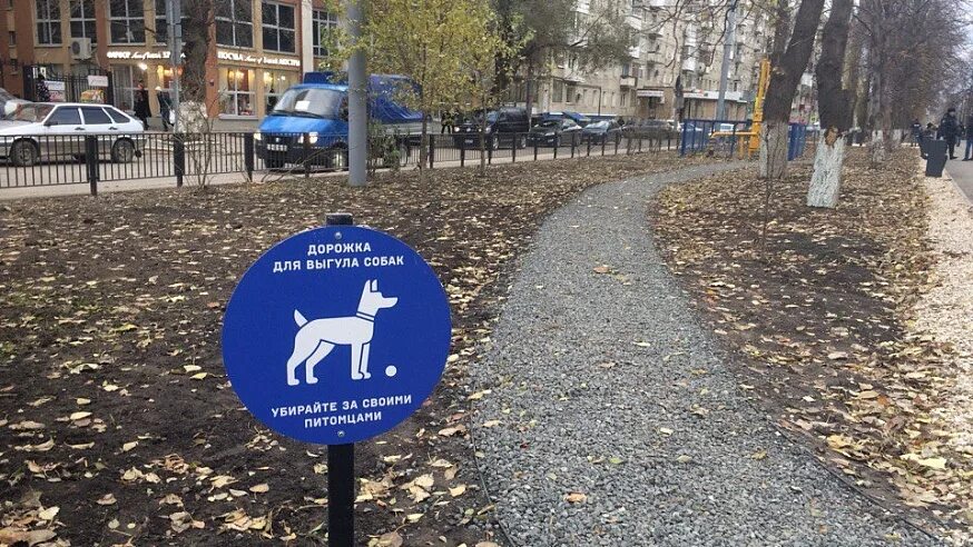 Выгул собак. Выгула собак в городе. Выгул собак запрещен. Прогулка с собакой. Правила выгула собак.