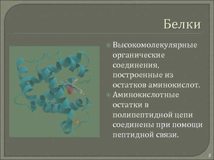 Белок высокомолекулярное соединение. Высокомолекулярные белки. Белки высокомолекулярные органические. Белки это высокомолекулярные соединения. Белок это высокомолекулярное соединение.