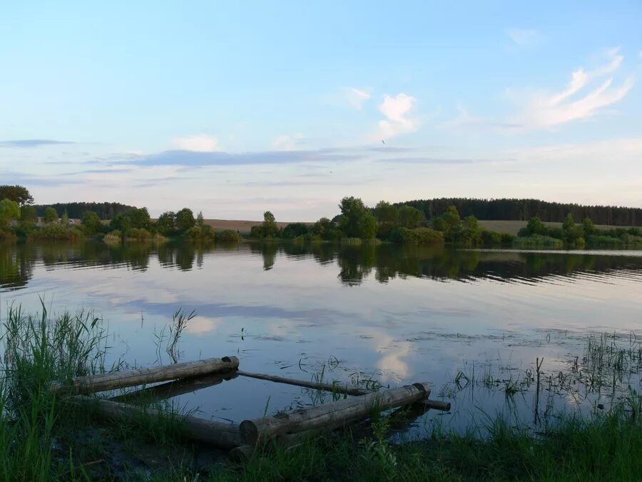 Петровиче водохранилище. Водохранилище петровичское пляж минск фото. Петровичское водохранилище пляжи. Петровичское водохранилище минск. Петровичское водохранилище пляжи.