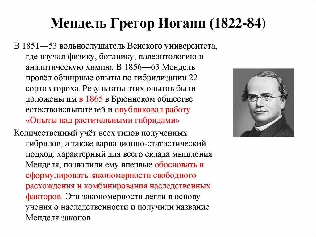 Наследственный фактор менделя. Грегор Иоганн Мендель(1822 – 1884). Грегор Иоганн Мендель вклад в генетику. Вклад Грегора Менделя в развитие генетики кратко. Грегор Мендель научные открытия.