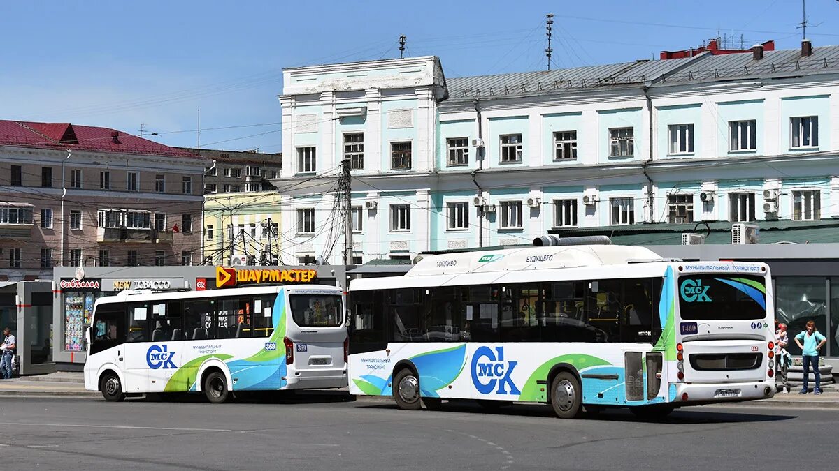 Сайт автобус омск. Омские автобусы. Автобус Омск НЕФАЗ 2015. Автобус 56.