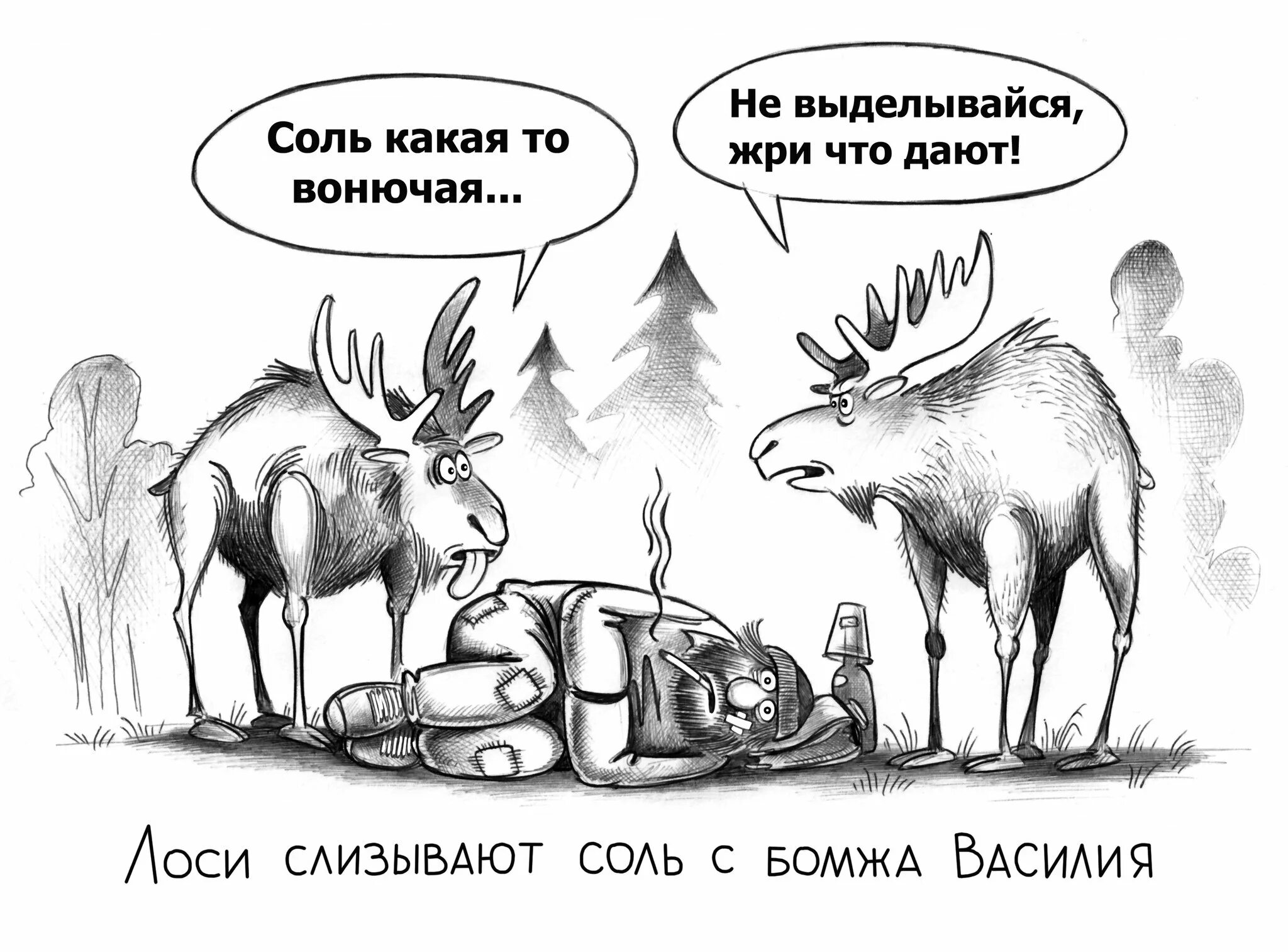 Лось карикатура. Олень карикатура. Соль и Лось карикатура. Корсун карикатуры.