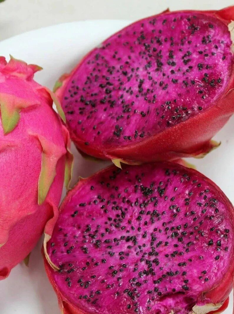 Как выглядит драконий глаз. Питахайя плод. Как выглядит драконий глаз. Тамарин драгон фрут. Мангустин питахайя гуава.