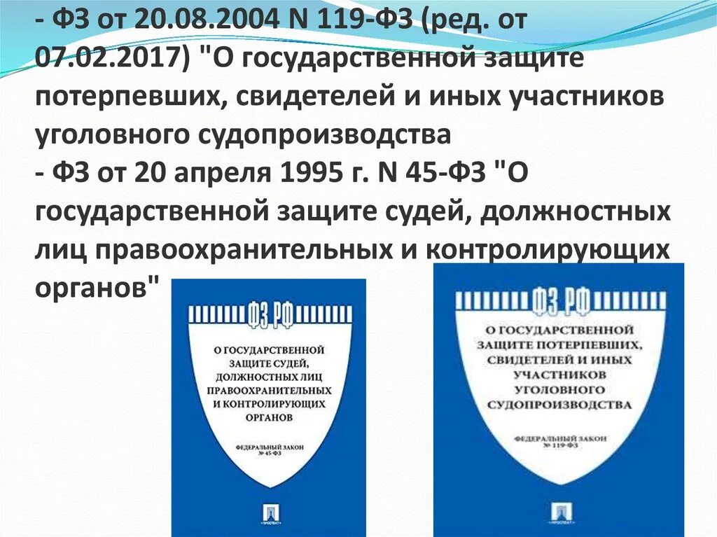 Закон 119 о государственной защите