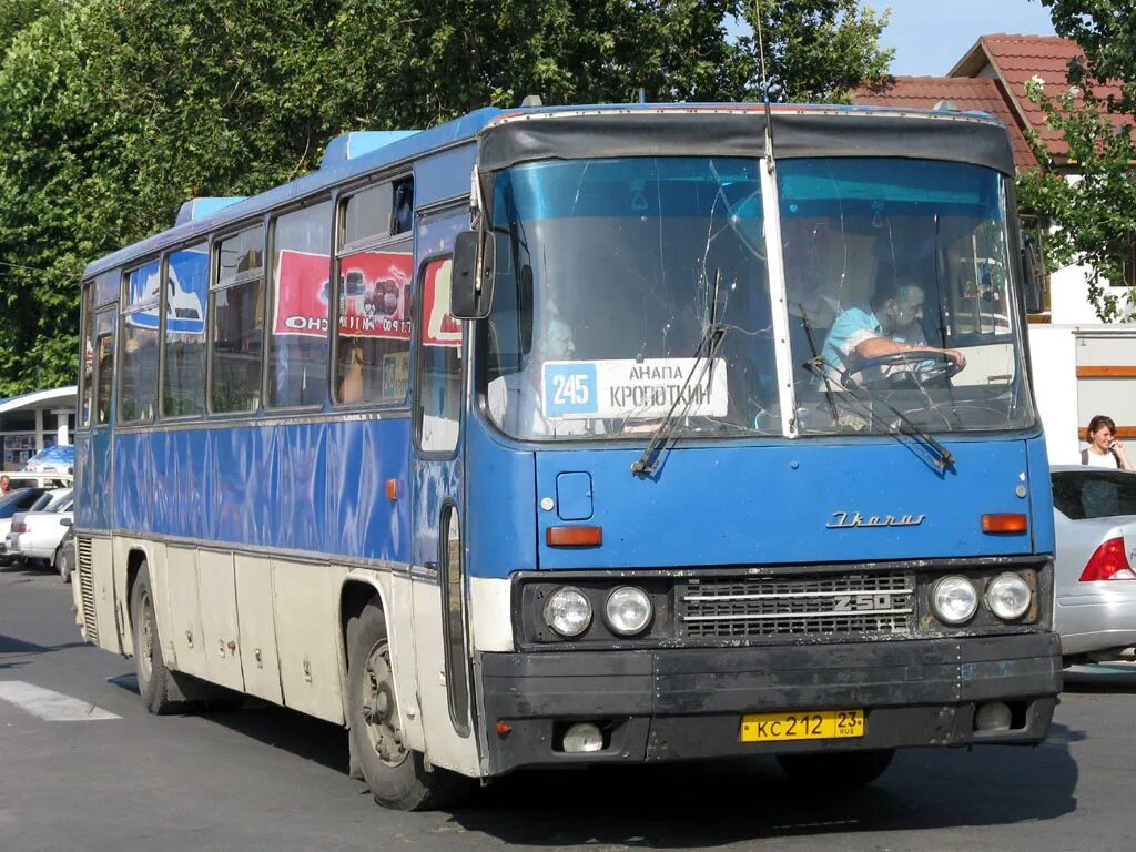 Анапа кропоткин автобус. Икарус 250.59. Ikarus 250.59 № 101. Краснодарский край Икарус 250.58 Фотобус. Автобус Икарус Кропоткин.