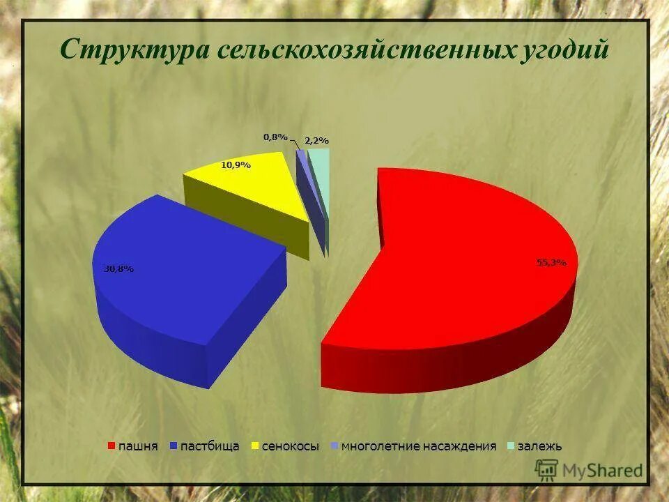 Наибольшую площадь сельскохозяйственных земель занимают. Структура сельскохозяйственных угодий. Структура сельскохозяйственных угодий России. Структура сельхозугодий России. Структура земельных угодий России.