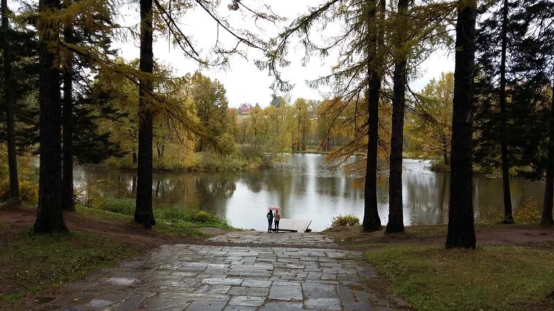 Барский пруд Фирсановка. Усадьба Середниково пруд. Середниково усадьба Барский пруд. Усадьба Лермонтова Середниково пруд.