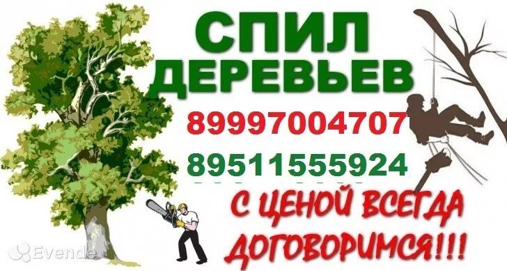 Дерево ценят. Спил деревьев реклама. Спил деревьев объявление. Спил деревьев визитка. Везитко по спилу деревьев.