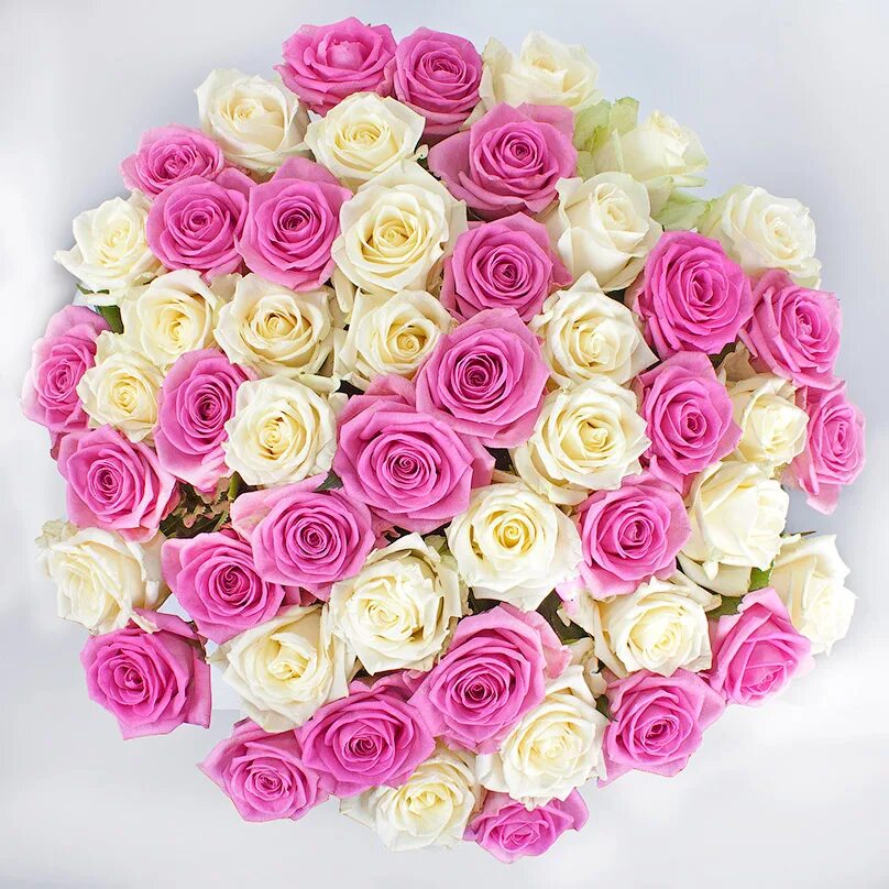Букет розовый купить. Розовый букет. Бело розовые розы. Букет бело-розовых роз. Букет из белых и розовых роз.