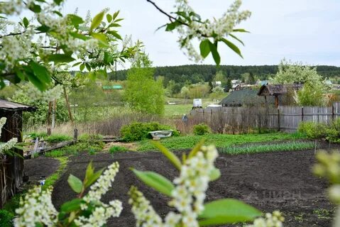 Деревни в каменском районе