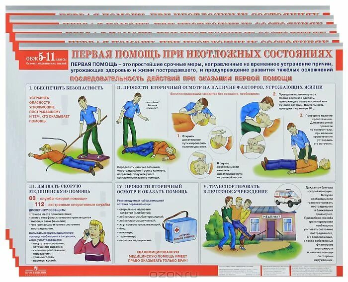 основы медицинских знаний и оказание первой медицинской помощи. основы медицинских знаний кратко. основные медицинские знания обж. основы медицинских знаний обж. основы медицинских знаний.