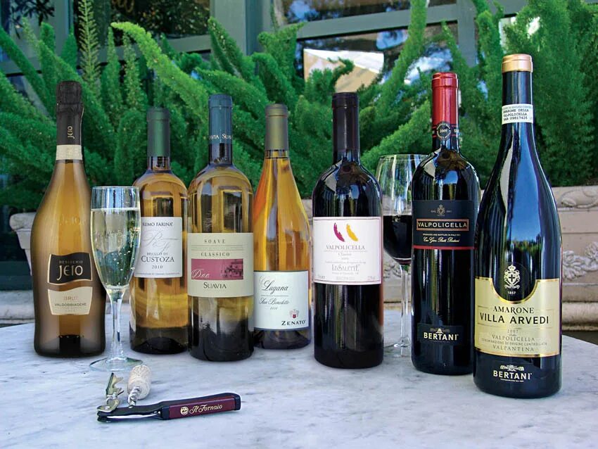 Veneto вино. Cabernet veneto. Merlot veneto. Вино veneto. Вино кантина ди неграр.