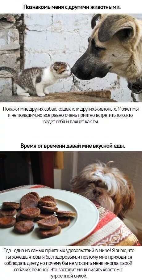 Если бы я был животным