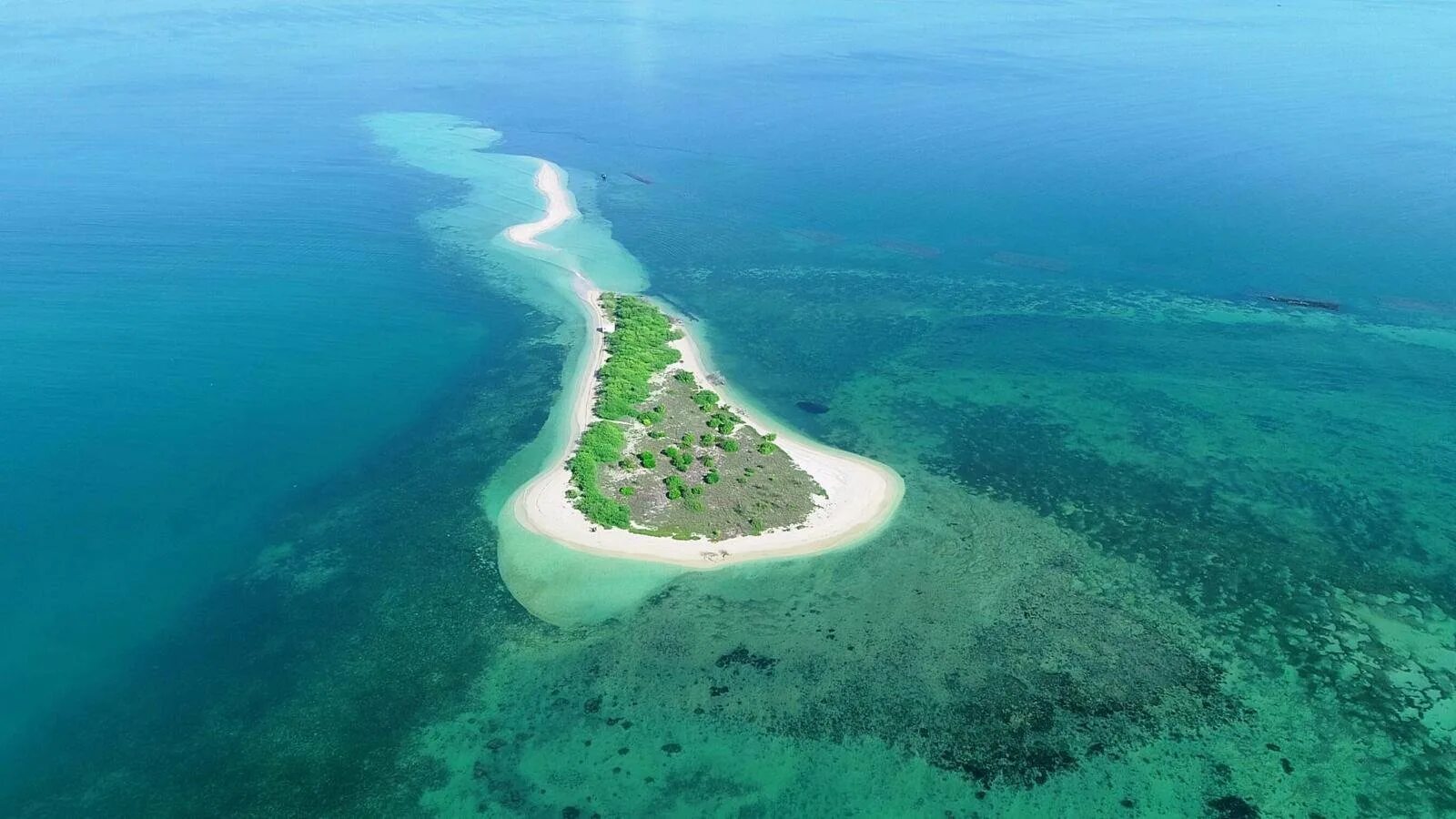Остров шри ланка расположен. Остров Маннар Шри-Ланка. Остров Кроу Шри Ланка. Дварака, Камбейский залив, Индия. Манарский залив.