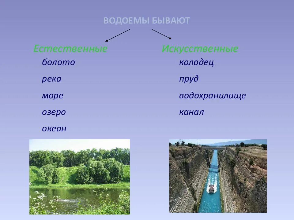 Какое бывает около