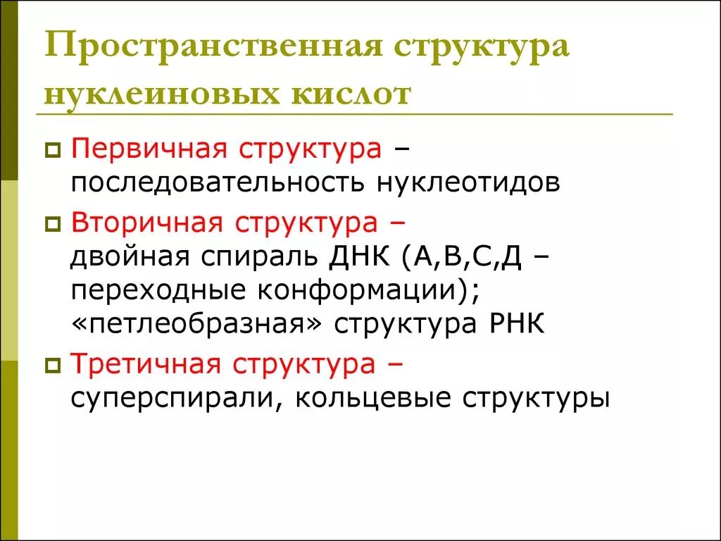 Пространственная организация нуклеиновых кислот. Структурная организация нуклеиновых кислот. Структура нуклеиновых кислот. Пространственная структура нуклеиновых кислот.