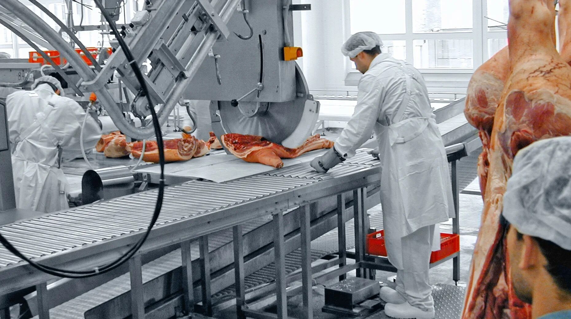 Meet processing. Alekseevsky milk processing factory. hardware processing factory.