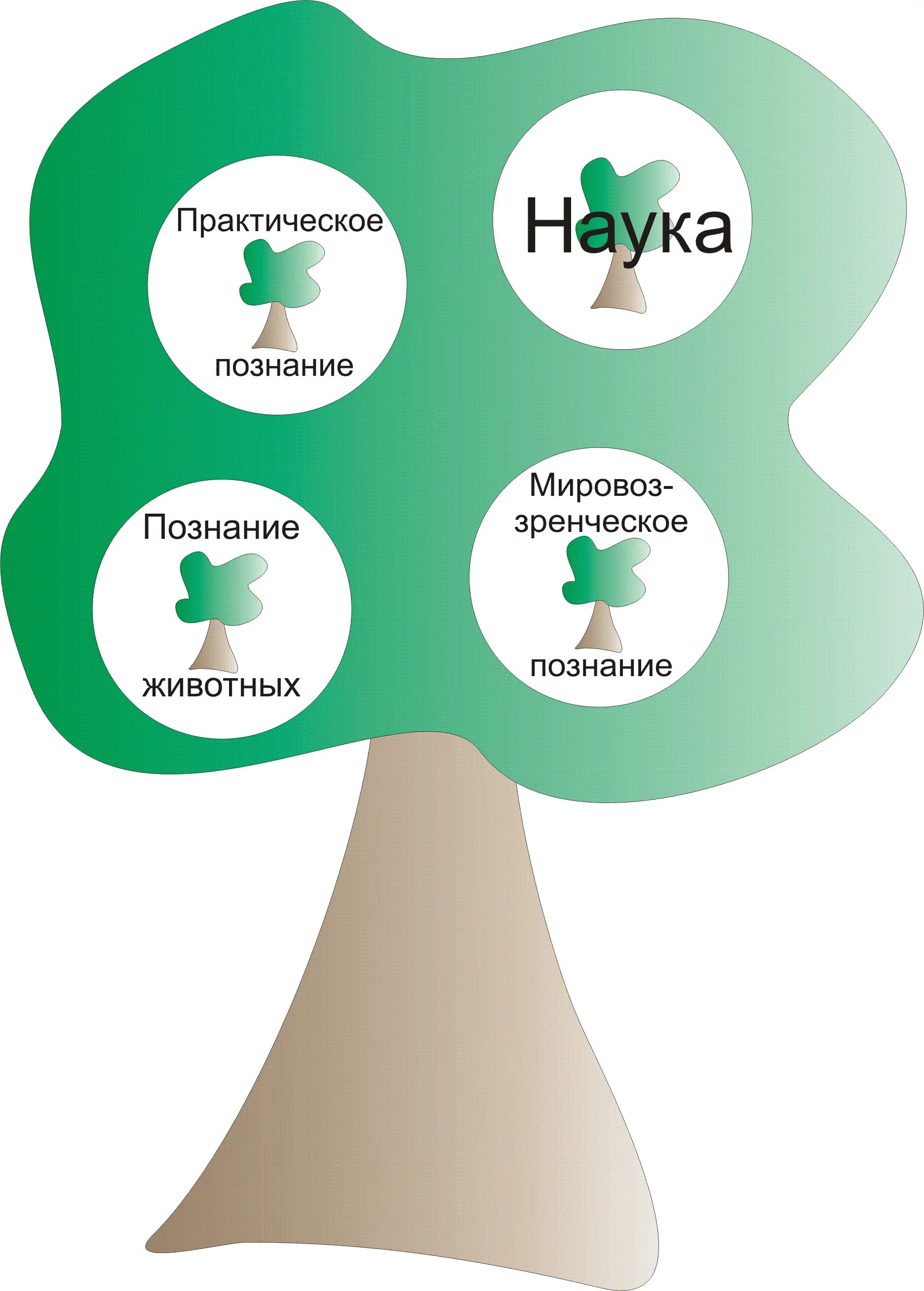 Особенности практического познания. Практическое познание. Практическое знание это. Практическое познание примеры. Вид познания практическое.