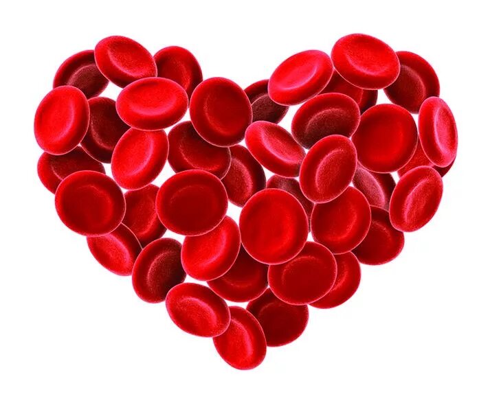 Red cell