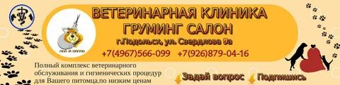 Ветеринарные клиники подольска отзывы