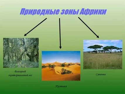 Природная зона африки азии южной америки