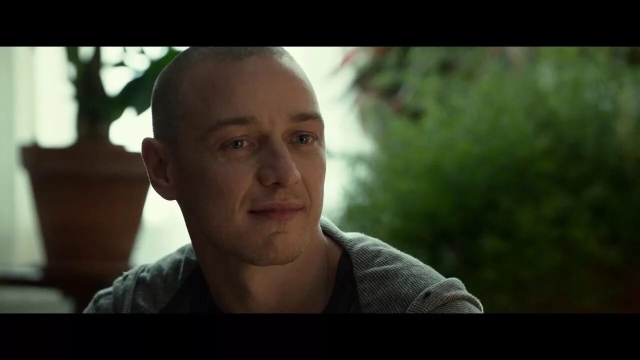 Сплит 23. Сплит 23