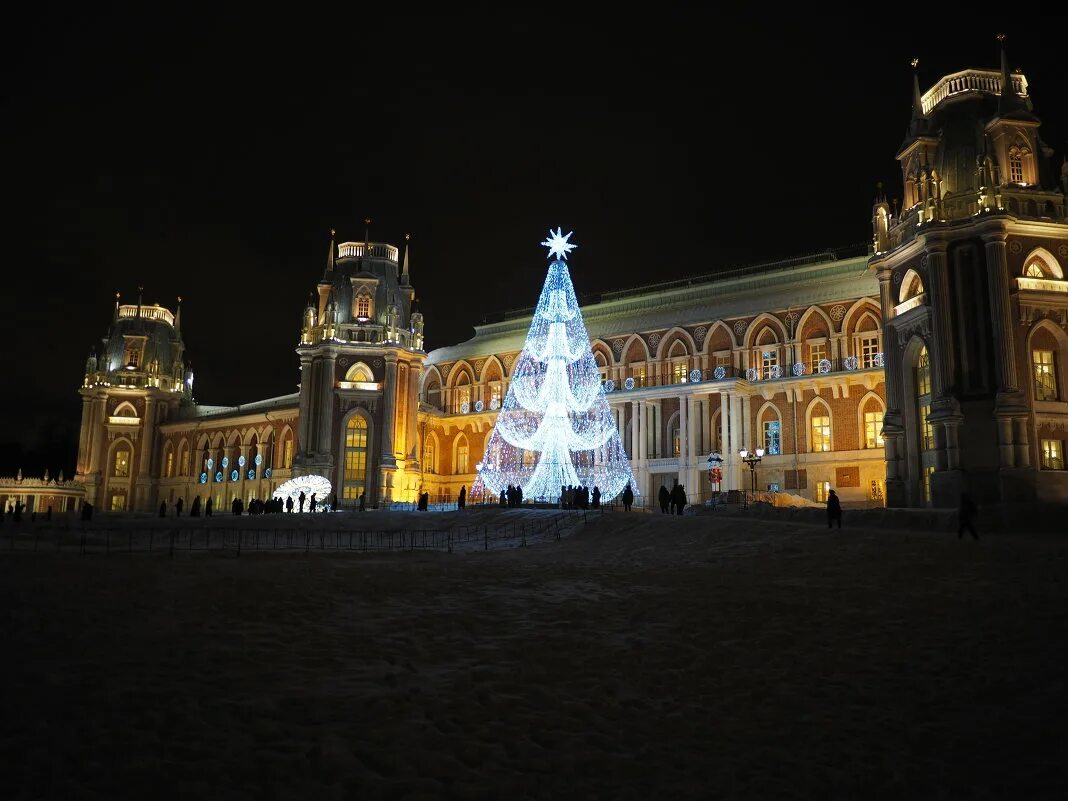 елка в царицыно. царицыно новогодняя программа. царицыно зима 2022. елка в музее заповеднике царицыно. елка в царицыно 2022.