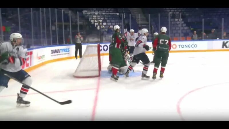 ирбис лисы прогноз