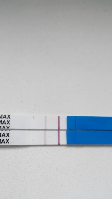 1 дз тест. 1 ДЗ слабая полоска. 2 ДЗ тест положительный. Тест на беременность 1 ДЗ.
