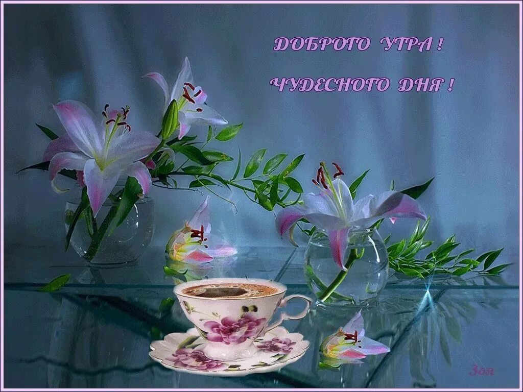 Доброго весеннего утра и прекрасного дня. Доброго утро и чкдесного дня. Доброе утречко и чудесного дня. Чудесные открытки с добрым утром. Добро утро прекрасного дня.