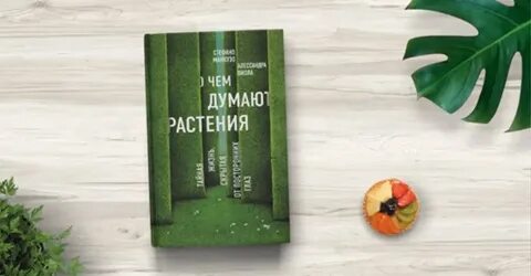 Книга тайная жизнь растений