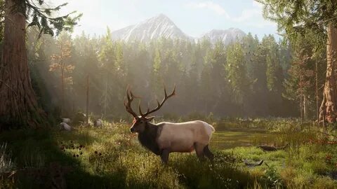 Ultimate Hunting выйдет в 2025 году на ПК, а позже появится на PlayStaton 5...
