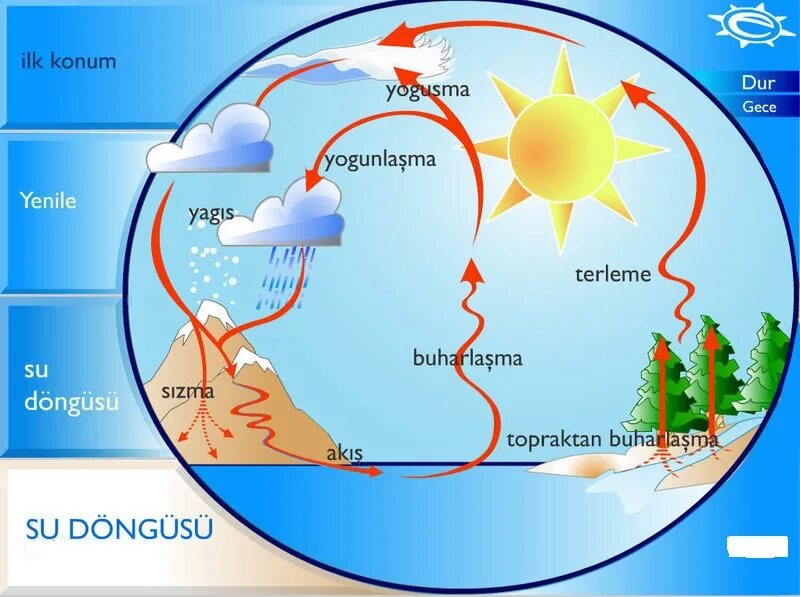 Water Cycle diagram. Круговорот воды в природе для детей дошкольного возраста. Круговорот воды в природе картинки. Круговорот воды в природе плакат для детей. Цикл воды в организме