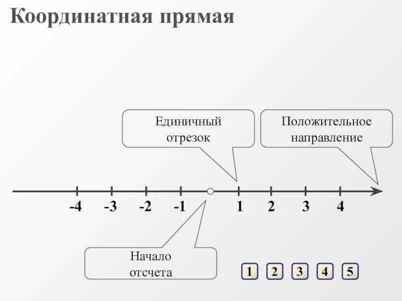 Координатная прямая. Координатная прямая с единичным отрезком. Координатная прямая начало отсчёта. Вертикальная координатная прямая. Модель координатной прямой