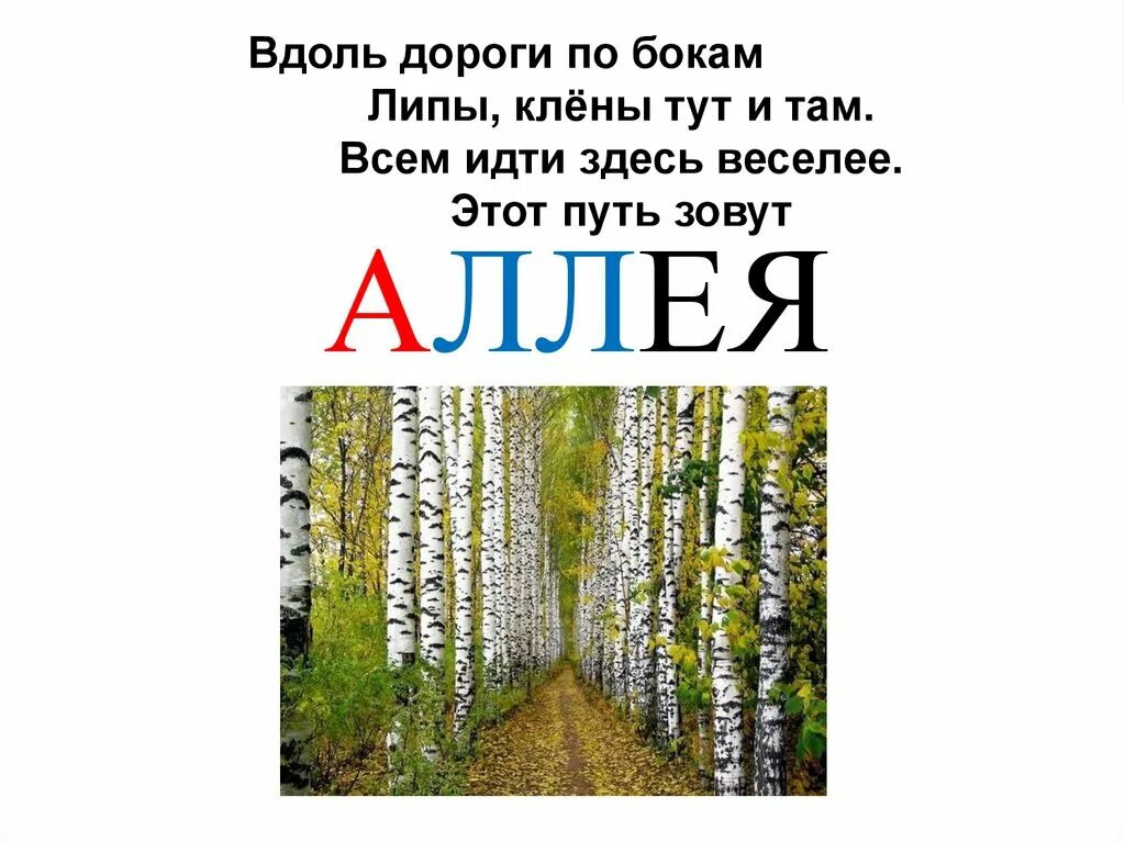 Загадка про аллею. Загадка про аллею для детей. Аллея словарное слово. Загадка про слово аллея. Подчеркни слова аллея