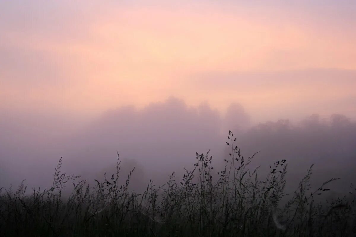 Раннее утро 4 буквы. Туманное небо. Туманное утро. Раннее утро. Рассветное небо в тумане.