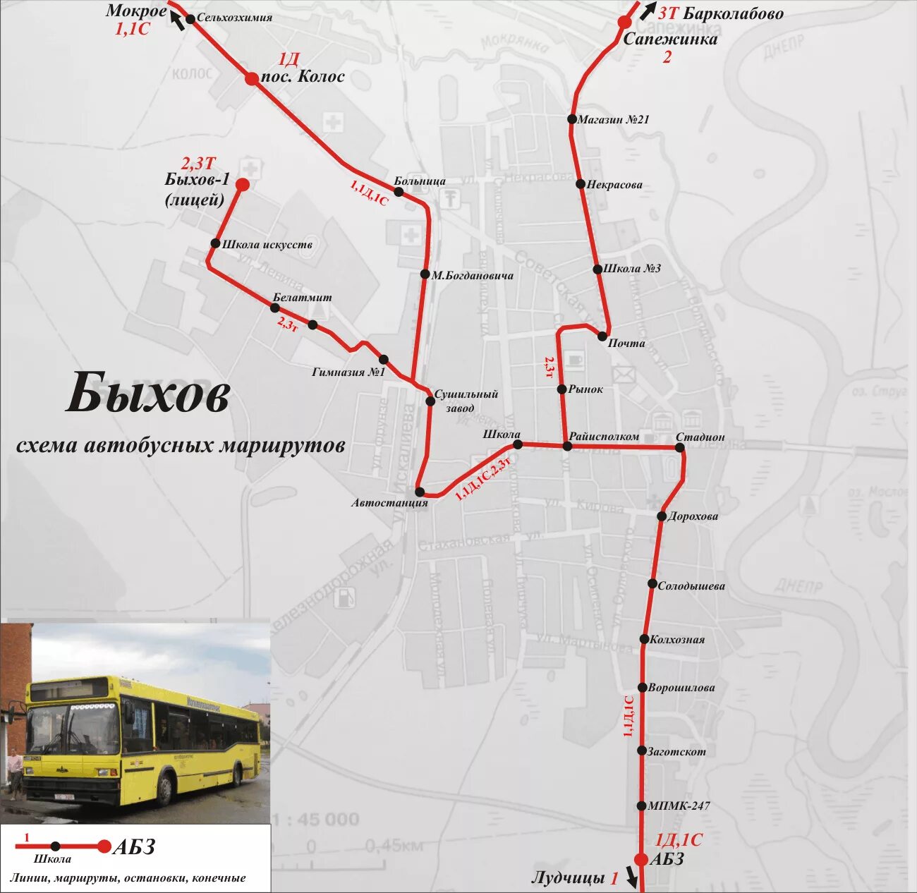 Расписание маршруток могилев быхов. Схема общественного транспорта Могилев. Схема автобусных маршрутов Гомель. Могилев схема автобусных остановок. Карта Гомеля с остановками общественного транспорта.