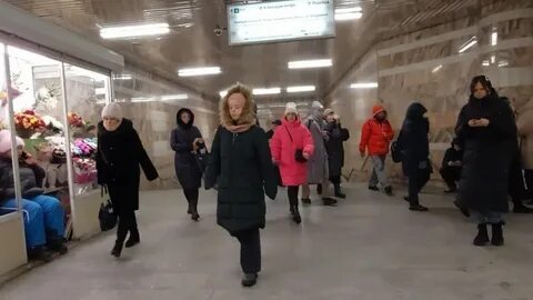 Жива новосибирск
