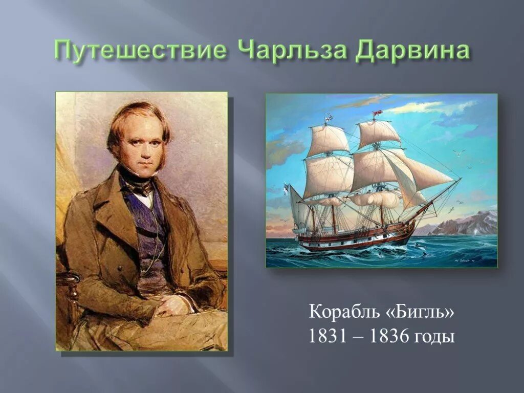 Ч дарвин кругосветное путешествие. Корабль Бигль Дарвин. Путешествие Дарвина на корабле Бигль.