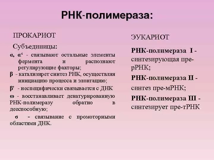 Структура РНК-полимераз эукариот. ДНК зависимая РНК полимераза строение. РНК полимераза эукариот строение. Строение РНК полимеразы у эукариот.