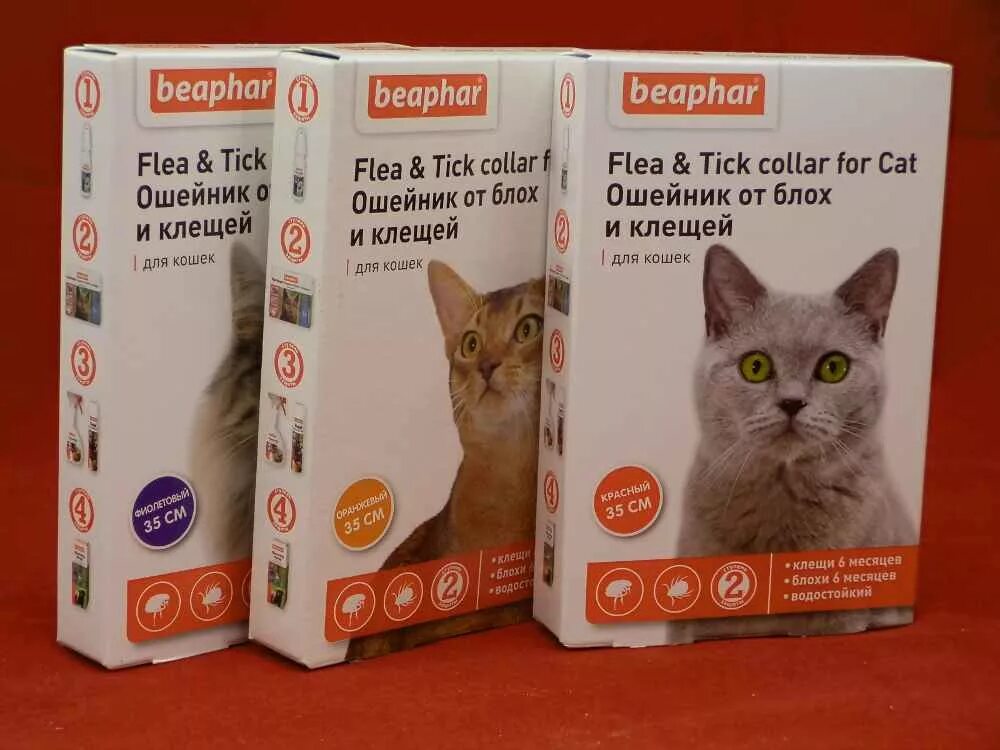Beaphar Flea & Tick для кошек. Ошейник от блох Беафар для кошек. Ошейник от блох для кошек Beaphar цвета. Beaphar ошейник от блох и клещей для кошек. Ошейник для кошек отзывы ветеринаров