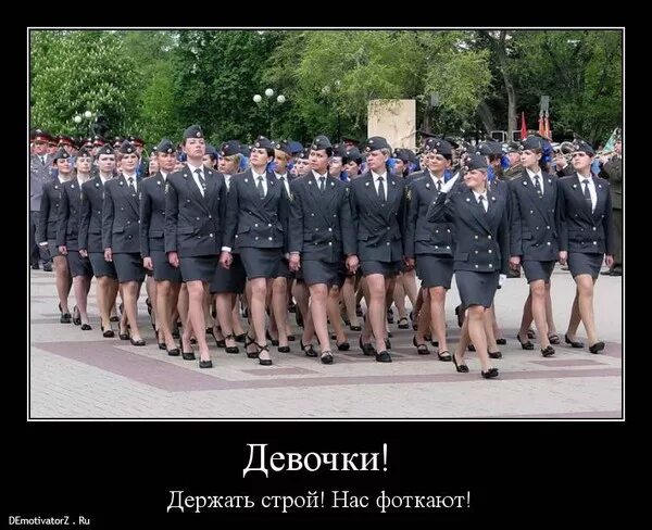 Почему умные ходят строем