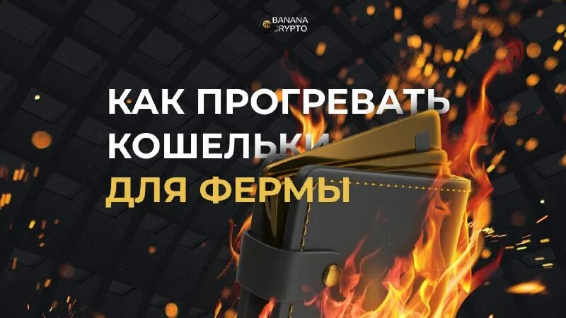 Счастливая женщина. Иван новелла. Каждый чем то прогрет. Текст песни вечер моя новелла. Фразы из фильмов.